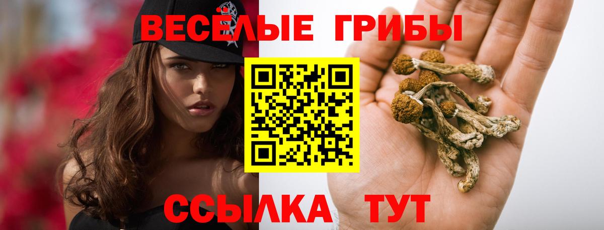 Галлюциногенные грибы MAGIC MUSHROOMS  Вход с VPN  Заводоуковск 